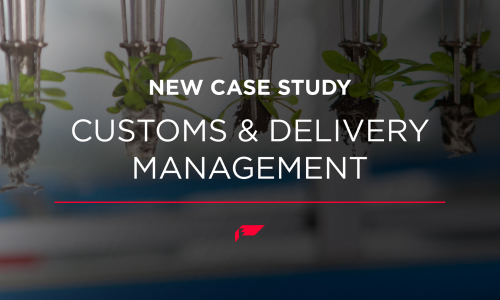 customs-brokerage_customs-amp-dlvm-image-1